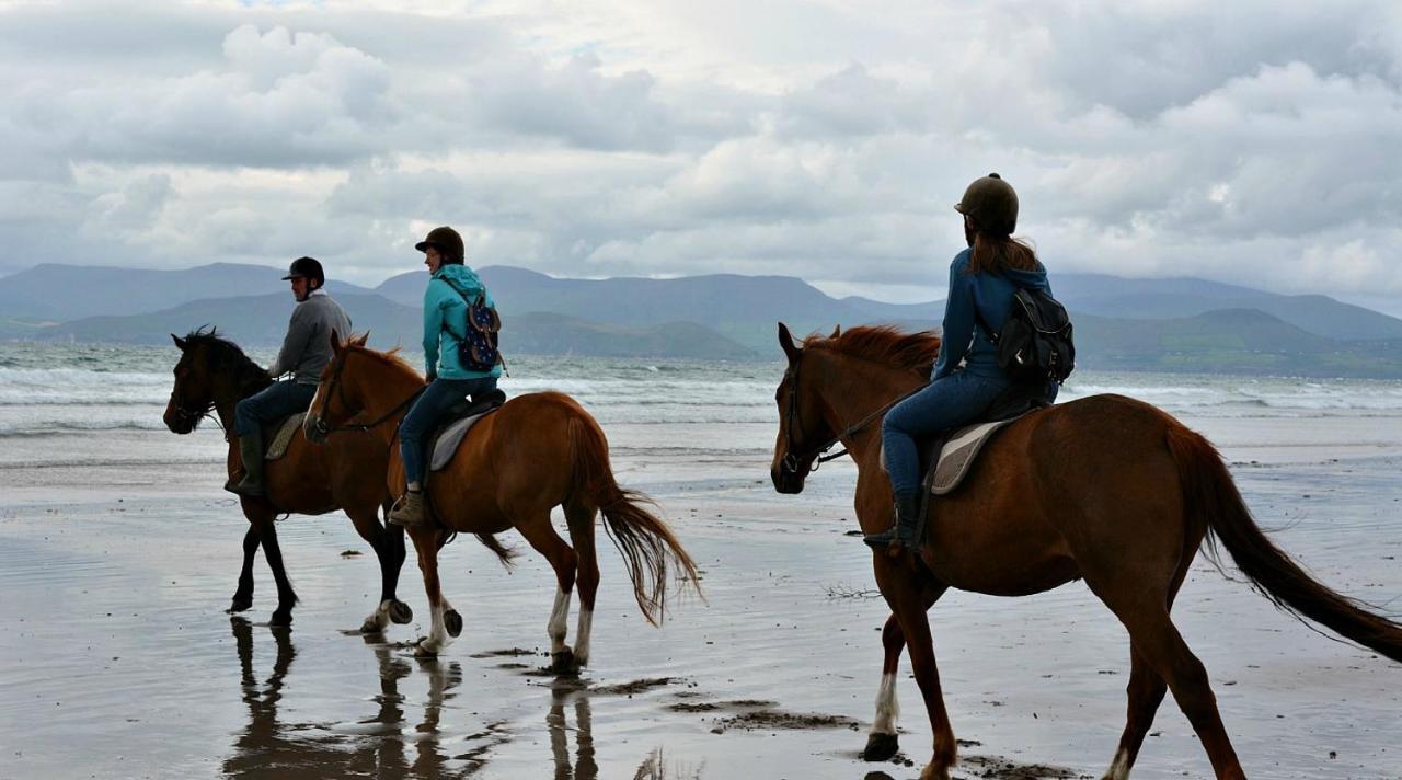 Wild Kerry Lodge Glenbeigh Luaran gambar